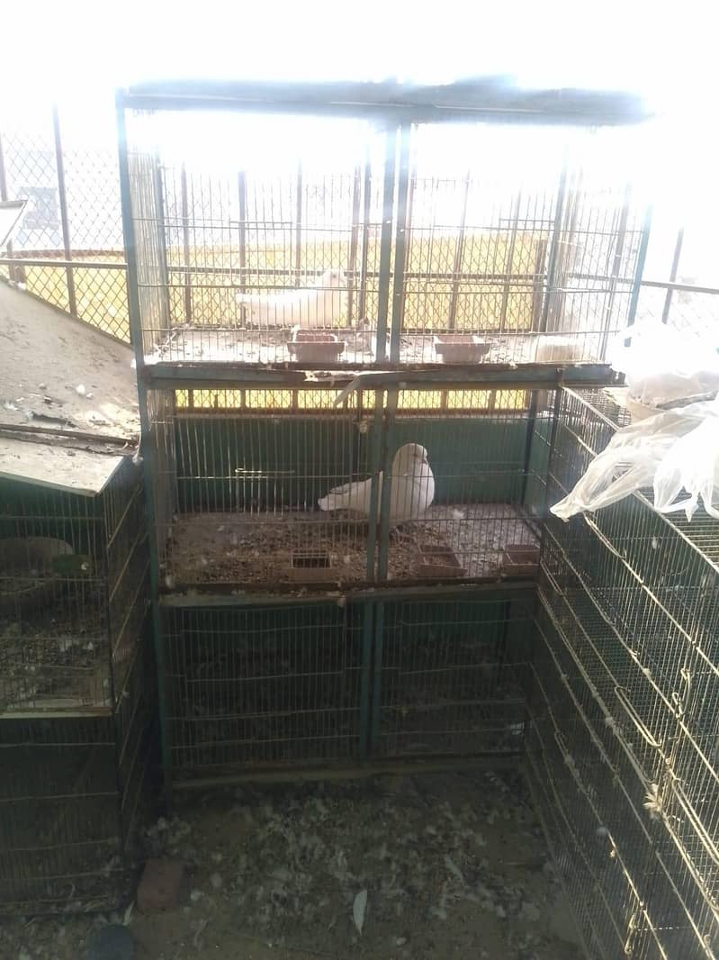 cages 3