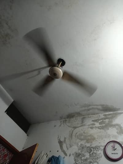 ceiling fan for sale