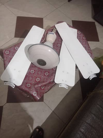 for sale