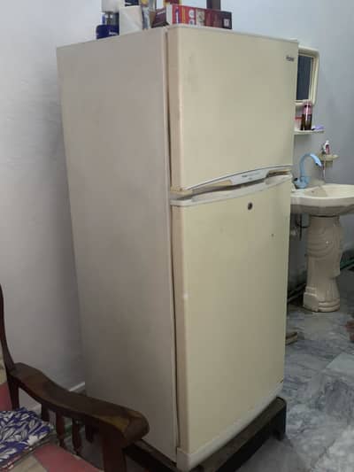 hair fridge for sale