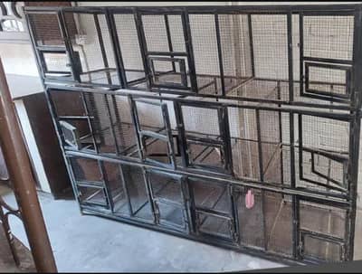 iron cage 80kg