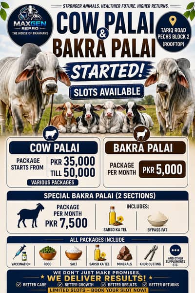 PALAI SERVICES AVAILABLE