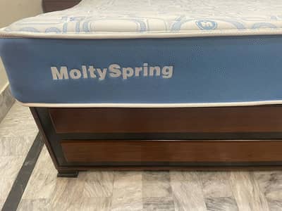 ( Molty Spring 2in1 ) Master MoltyFoam Mattress