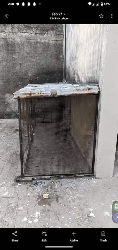 Hens Cages Home Built