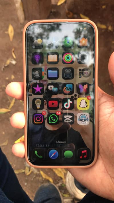 Apple iPhone 13 Pro