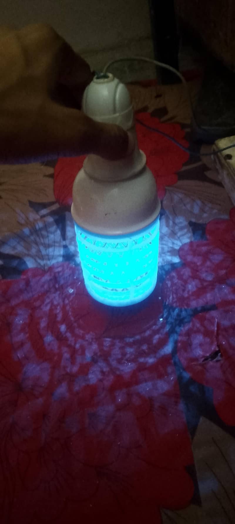 bulbs 1