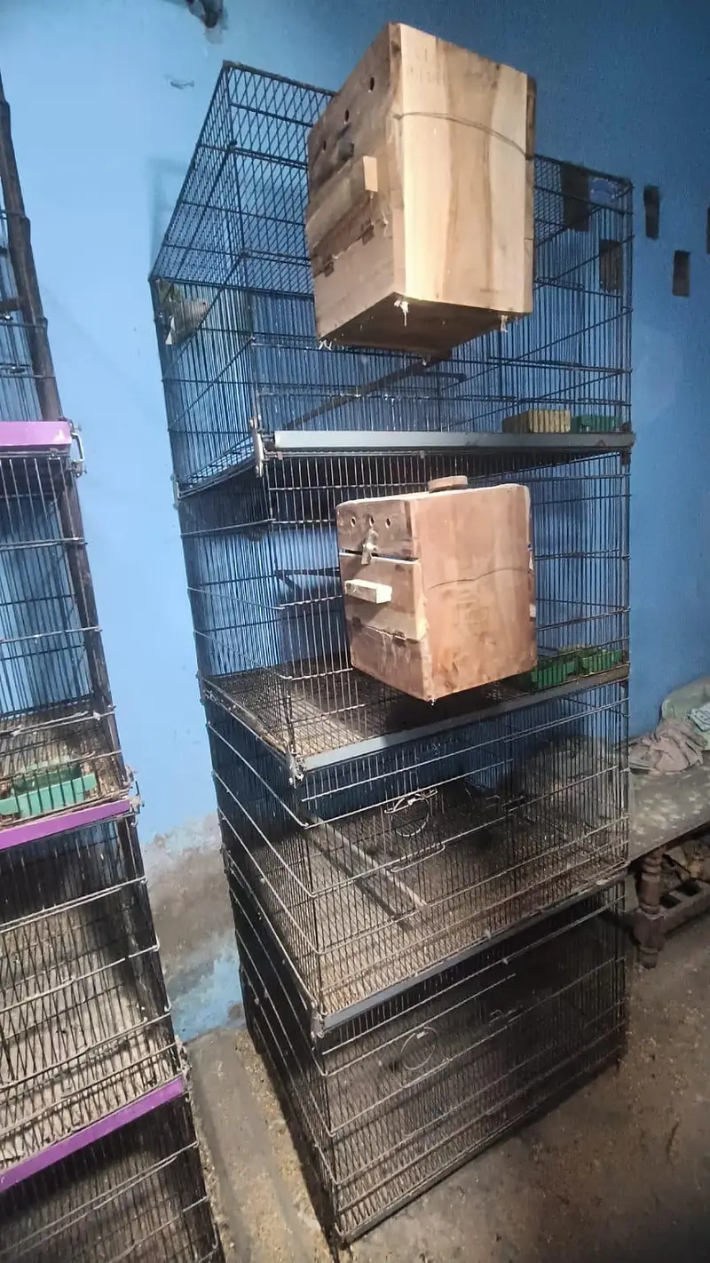 2.5 x2  folding cage with tray good condition — photo 2
