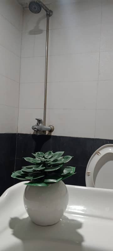 1 Bed Room Sound proof Apartment available for rent.