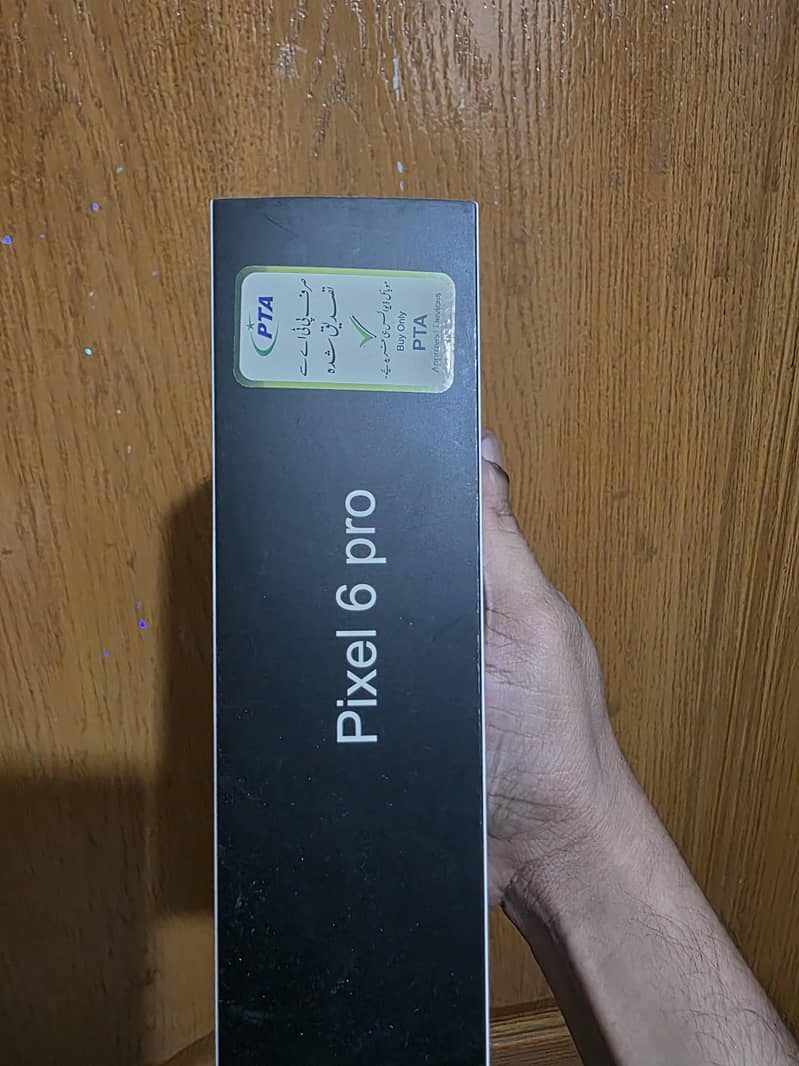 Google Pixel 6 Pro 1