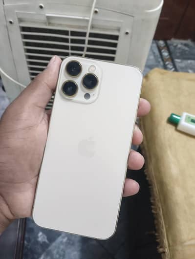 Apple iPhone 13 Pro Max