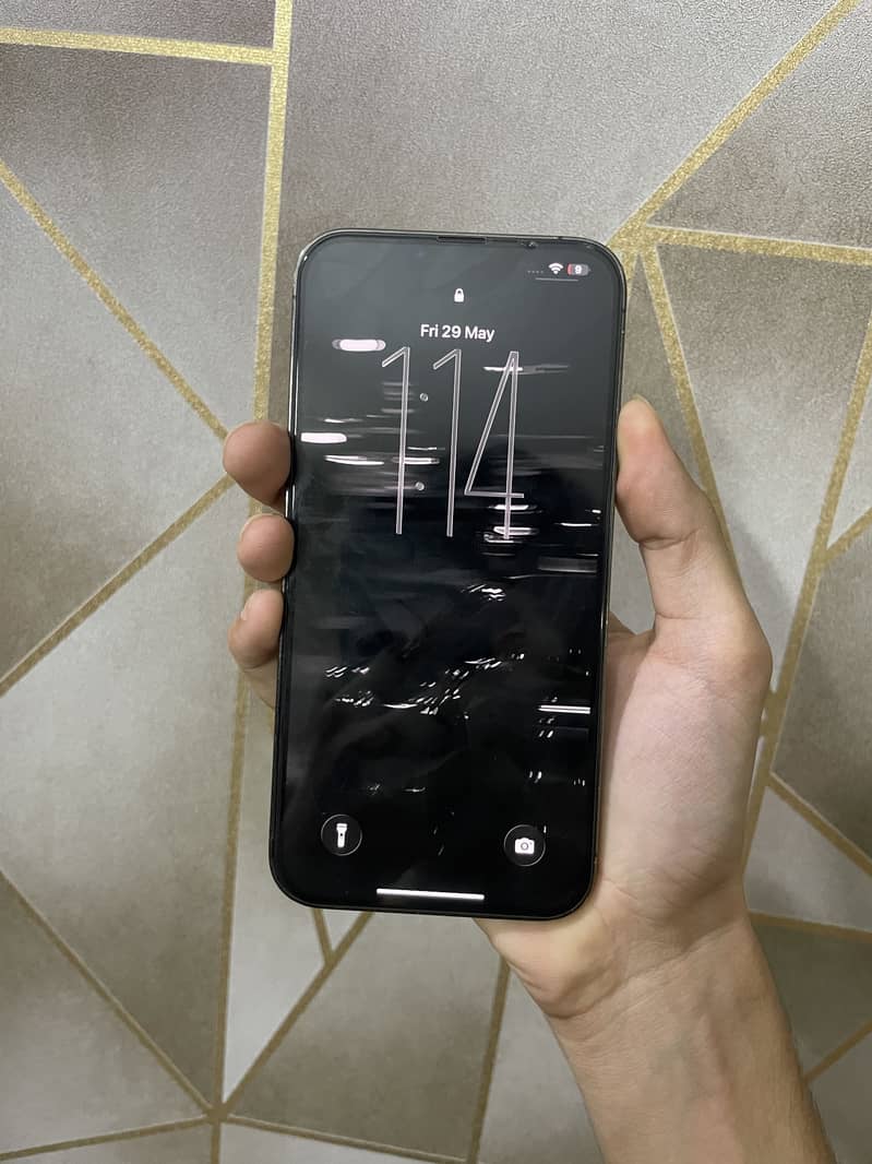 iPhone 13 Pro Max 1