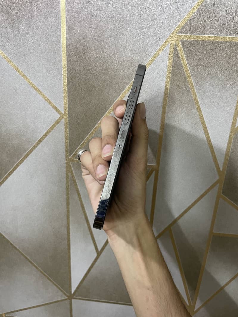 iPhone 13 Pro Max 2