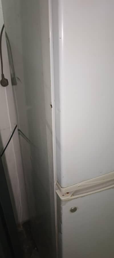 Haier Fridge for Sale - Working Perfect