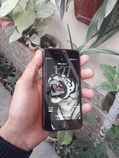 Apple iPhone SE 3