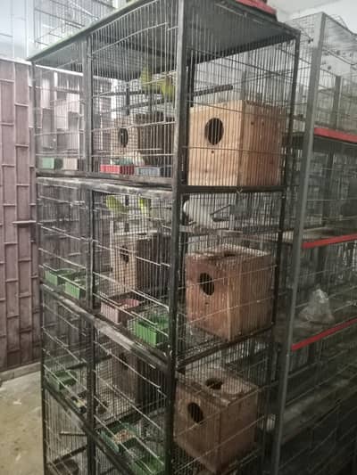 Heavy Gage Cages For Sale