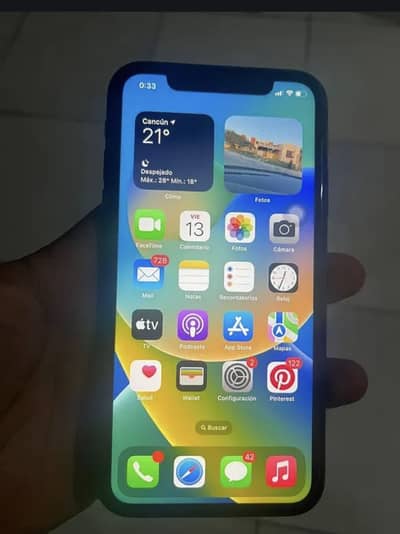 Apple iPhone X