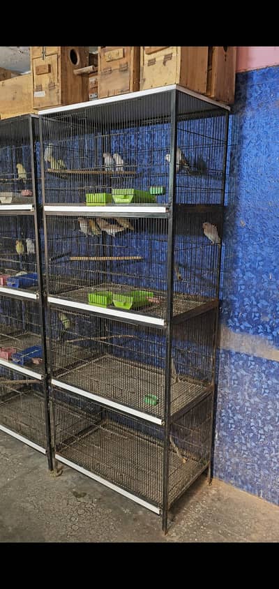 Birds cage