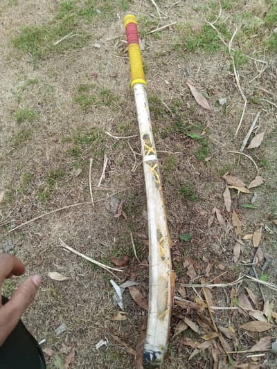 Coconut Bat