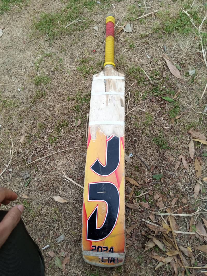 Coconut Bat 1