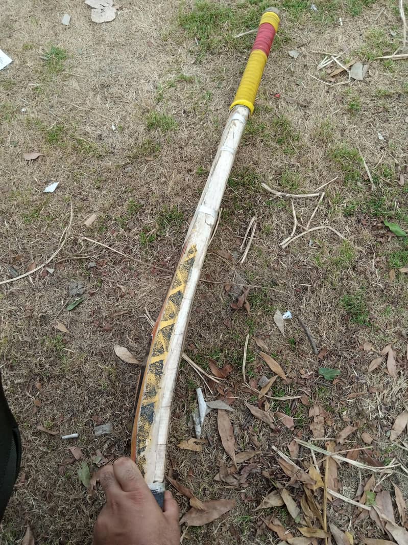 Coconut Bat 2