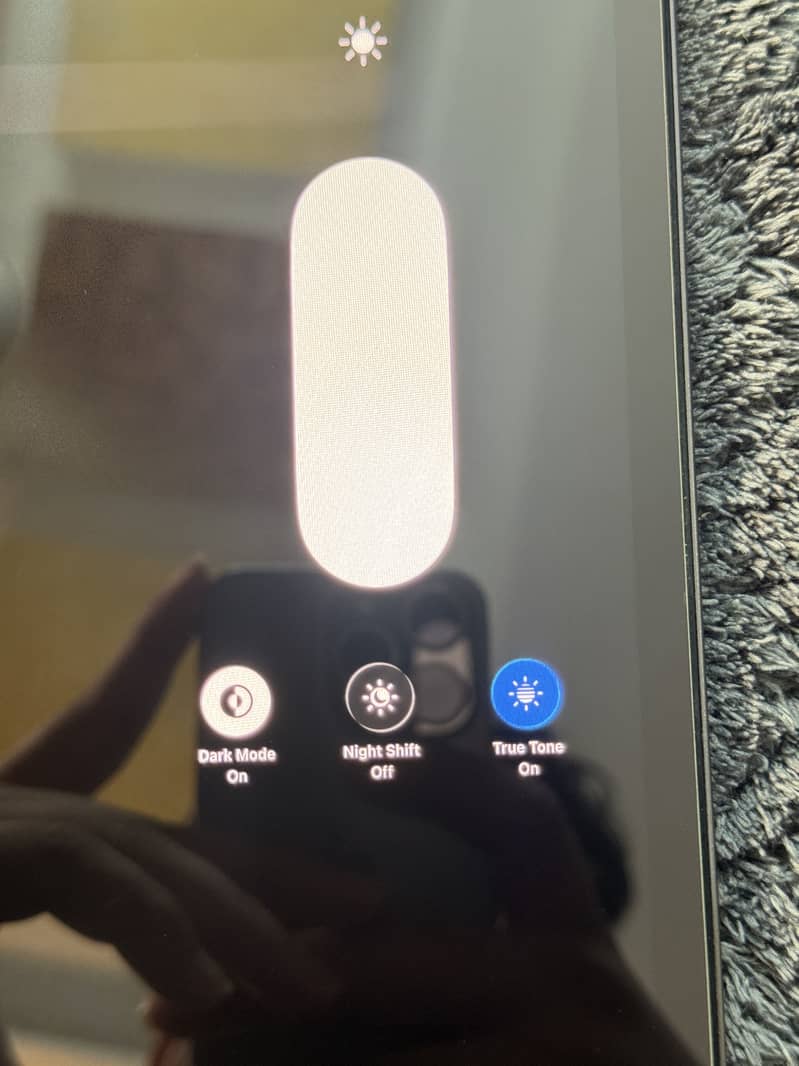 IPAD PRO M4 (256) 8