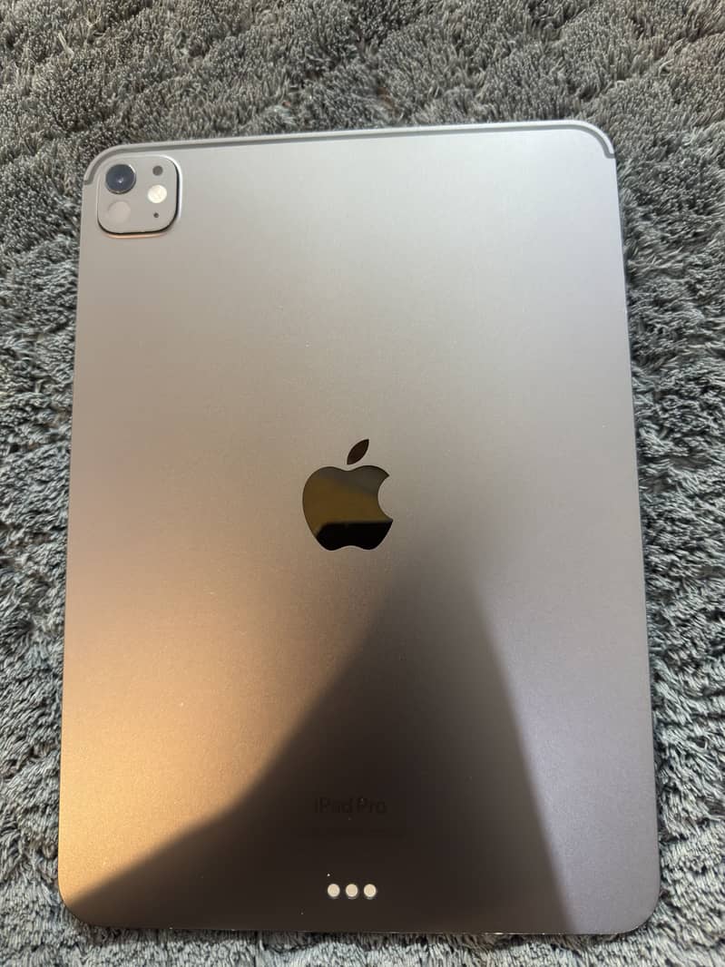 IPAD PRO M4 (256) 14