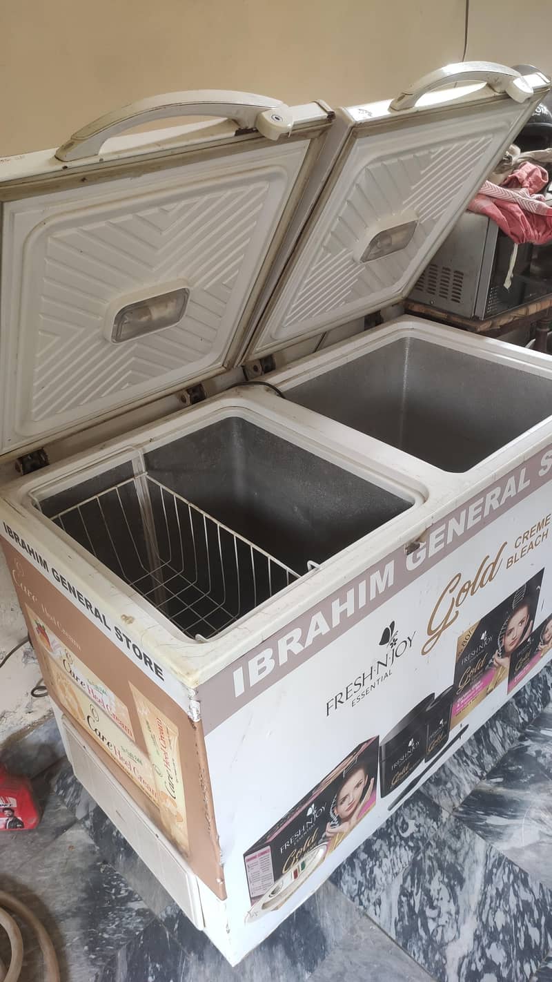 D Freezer 1