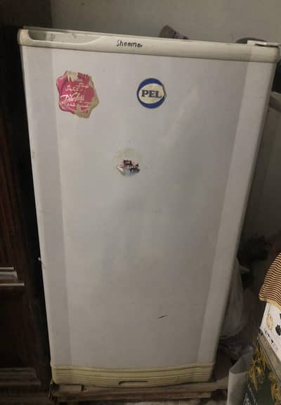 Pel room refrigerator