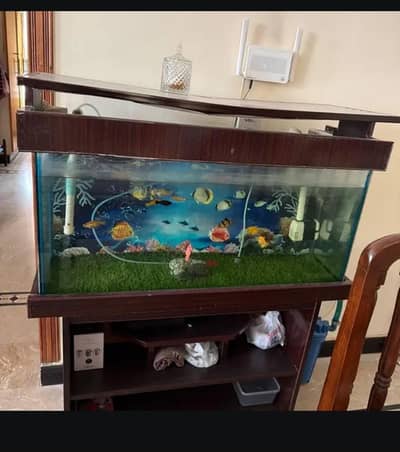 glass aquarium