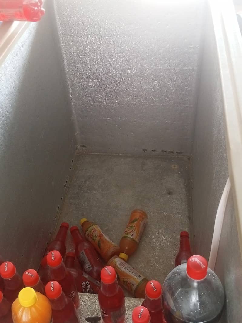 deep freezer 1