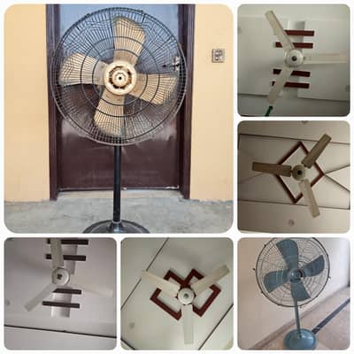6 fans | 2 pedasteel | 4 ceiling