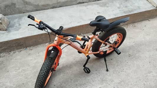 fat cycles 03224393935