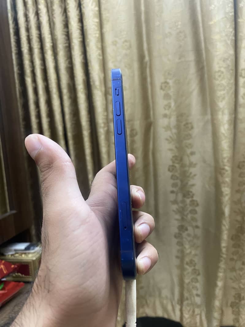 Apple iPhone 12 1