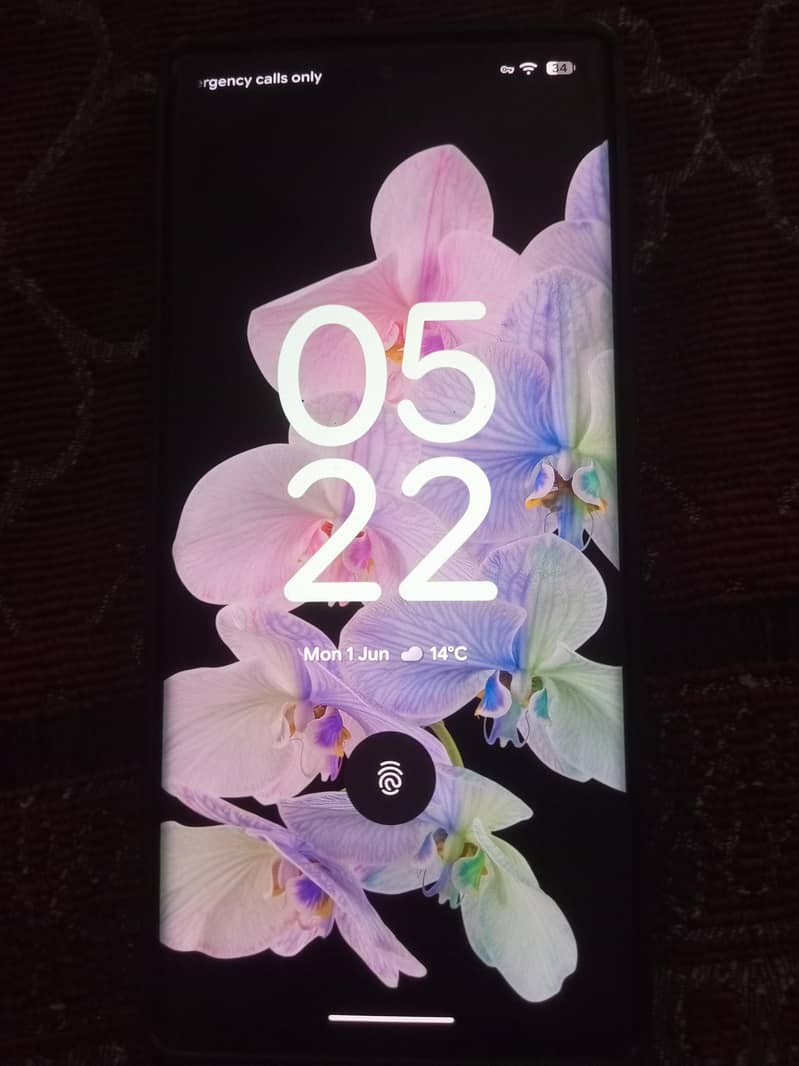 Google Pixel 6 Pro 1