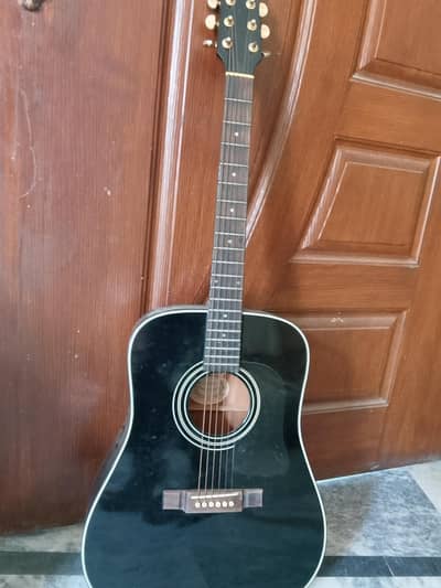 Washburn guitar 10/10