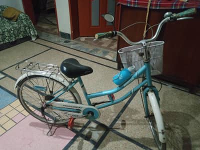 Morgan cycle