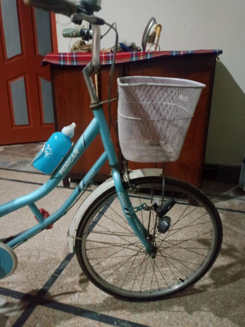 Morgan cycle 2