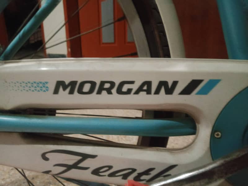 Morgan cycle 6