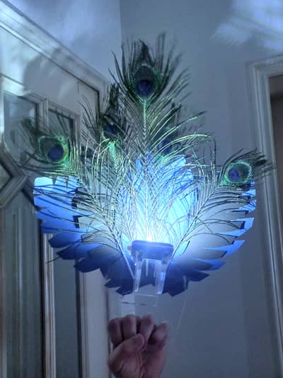 Feathers Peacock Feather Knuckle Duster Light Theater Theatre Prop