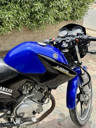 Yamaha YBR 125 2020 Model Blue Color -