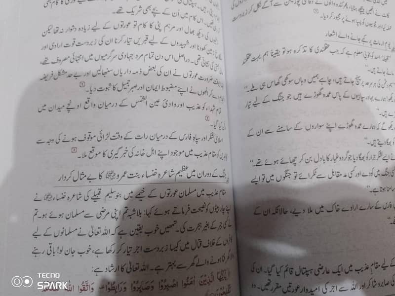 سیرت حضرت عمر ، دارالاسلام دو جلدیں 2