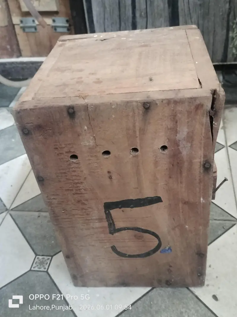 birds breeding box — photo 2