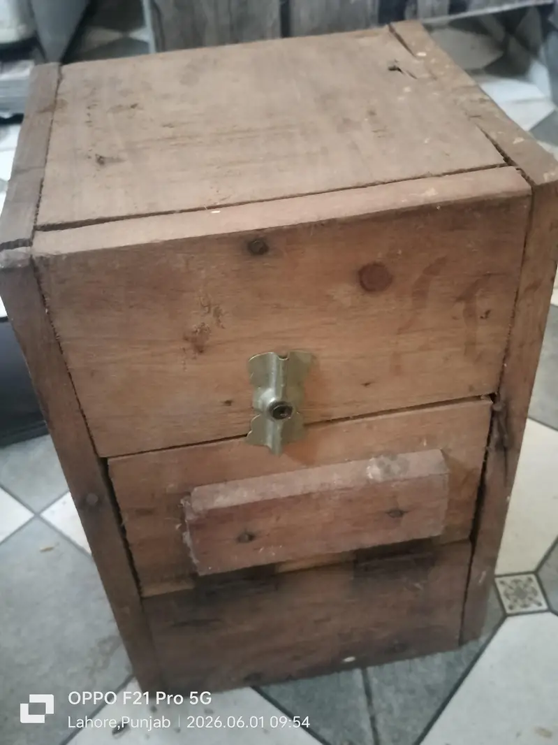 birds breeding box — photo 3
