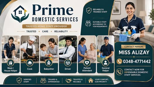 Maid | Babysitter | Cook | Patientattendant | Driver | Helper