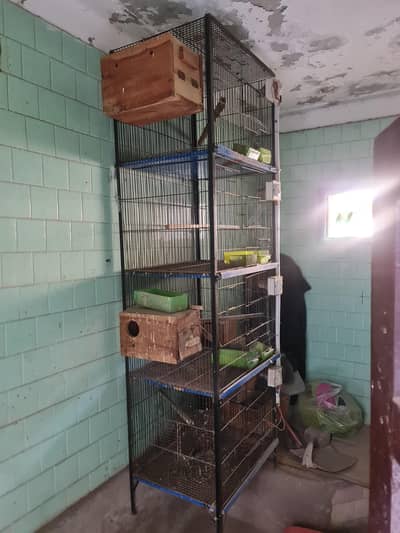 4 and 8 portion cages