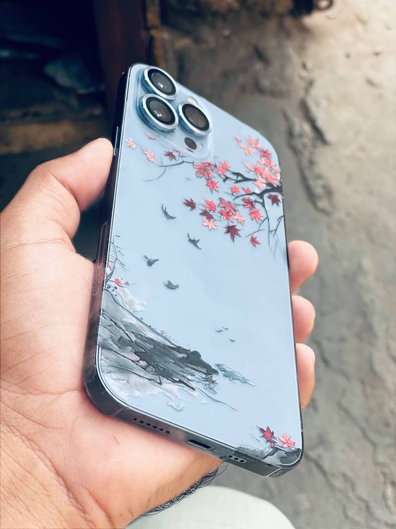iPhone 2
