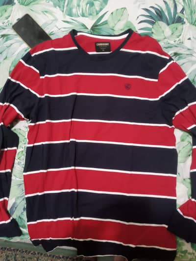 Cambridge shirt and Levi's hoodie