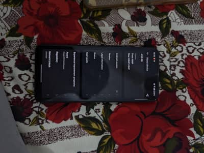 One Plus N300
