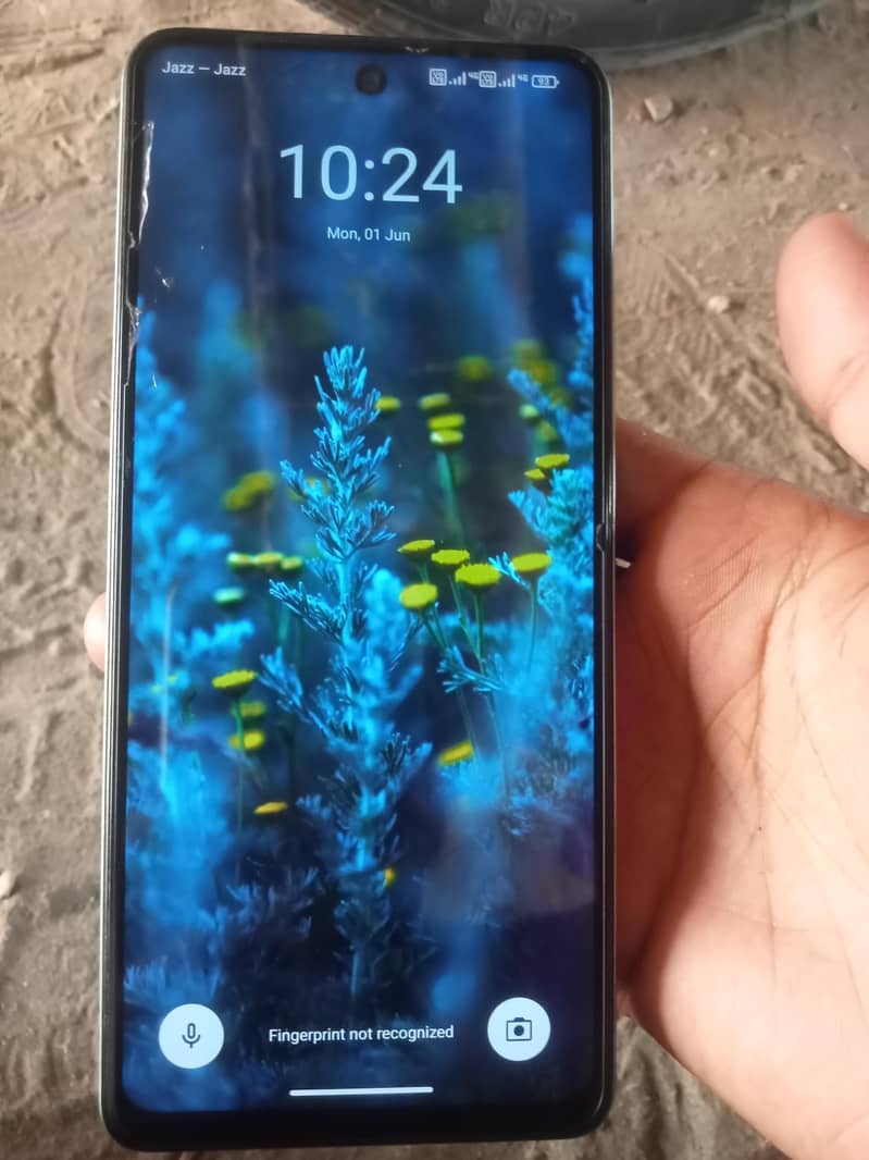 Dcode Bold 3 2