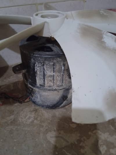 cooler motor with blades(silver winding)